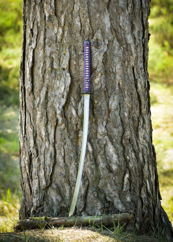 Katana Dračí kráľ Lotosové semeno