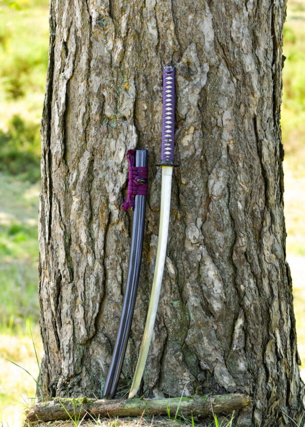 Katana Dračí kráľ Lotosové semeno