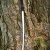 Dračí kráľ Shi katana
