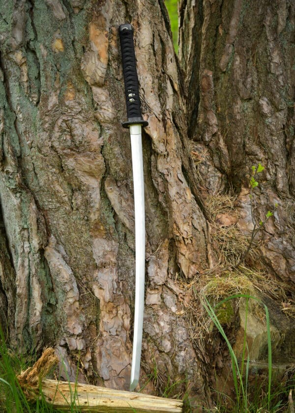 Dračí kráľ Shi katana