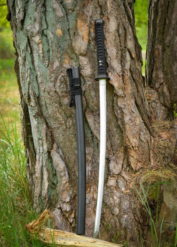 Dračí kráľ Shi katana