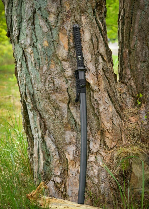 Dračí kráľ Shi katana