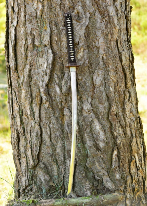 Dragon King Pine Crane Katana