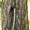 Dragon King Pine Crane Katana