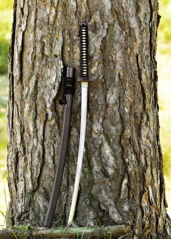 Dragon King Pine Crane Katana