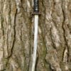 Dragon King Pine Crane wakizaši