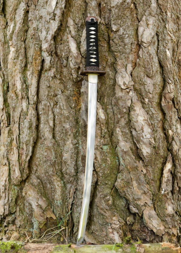 Dragon King Pine Crane wakizaši