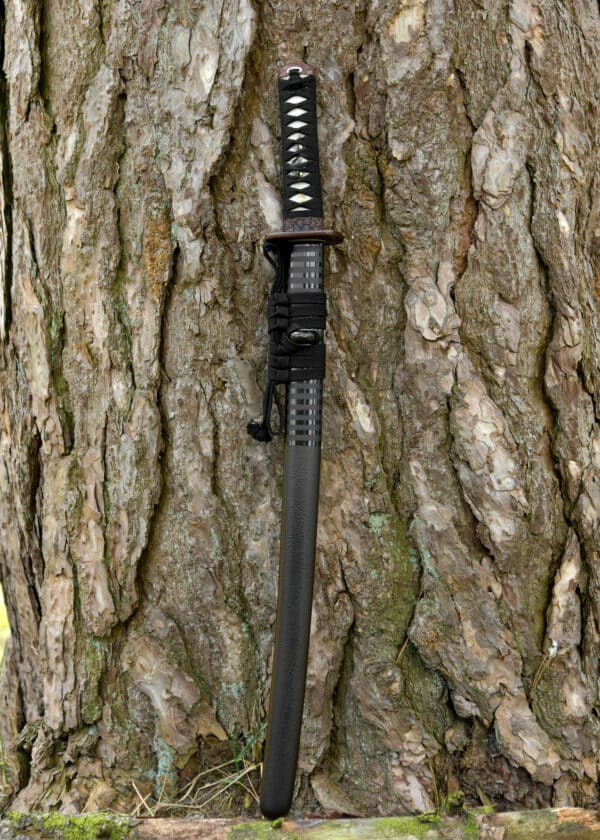 Dragon King Pine Crane wakizaši