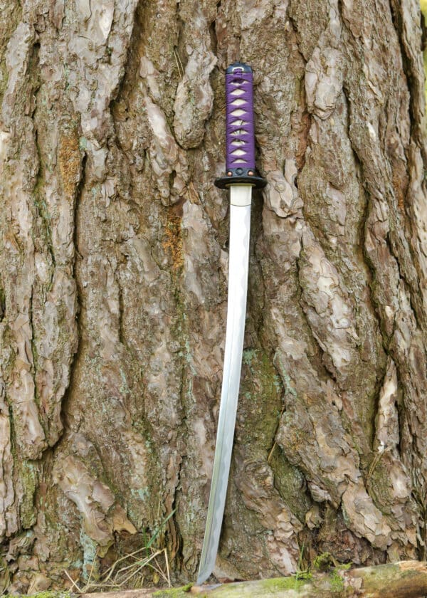 Wakizashi Dračí kráľ Lotosové semeno