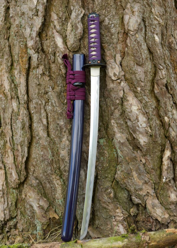 Wakizashi Dračí kráľ Lotosové semeno