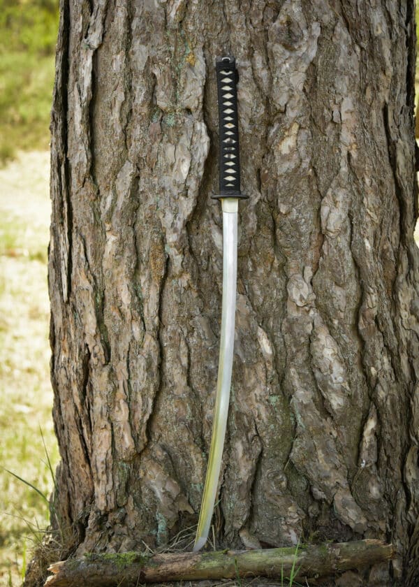 Dragon King Yanone katana