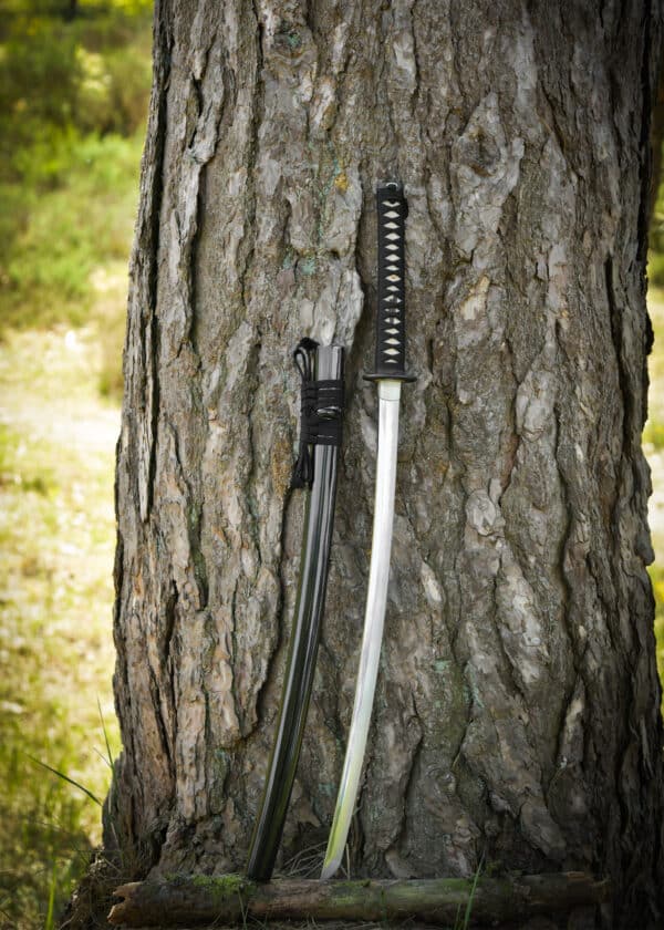 Dragon King Yanone katana