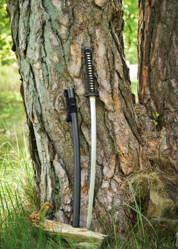 Katana Dragon King War Fire