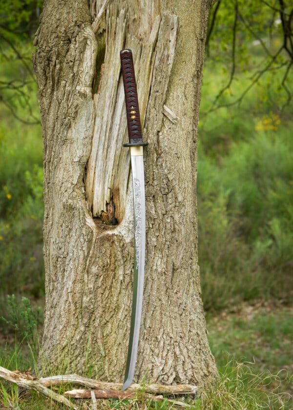 Dragon King Shi Shi Botan katana (Kinryu katana)
