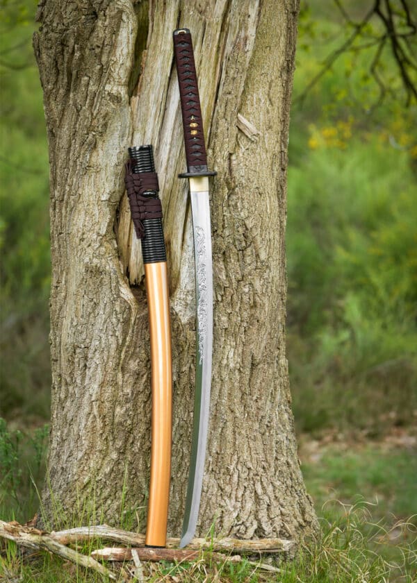 Dragon King Shi Shi Botan katana (Kinryu katana)