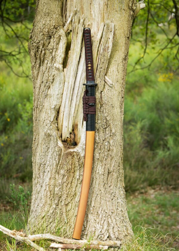 Dragon King Shi Shi Botan katana (Kinryu katana)