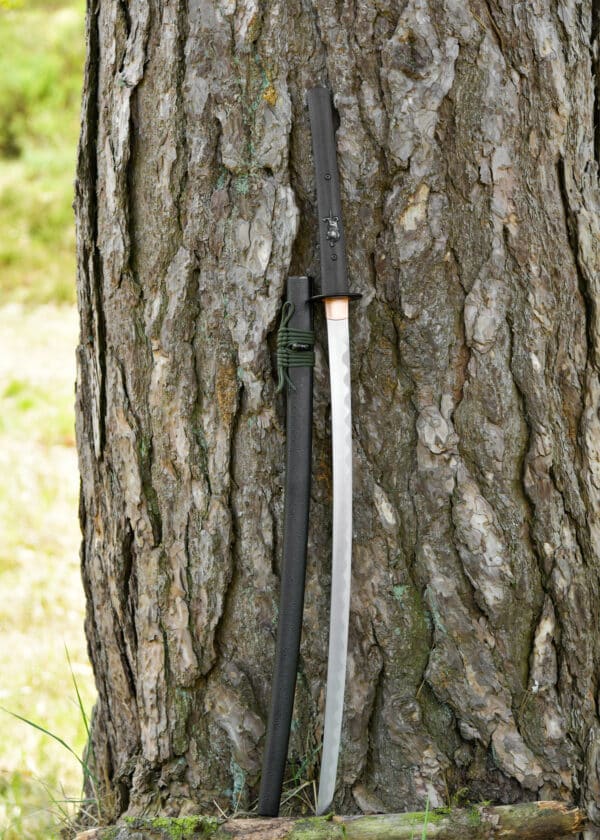 Dragon King moderná katana