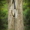 Dragon King Moderná katana, Bo-Hi