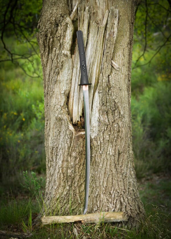 Dragon King Moderná katana, Bo-Hi
