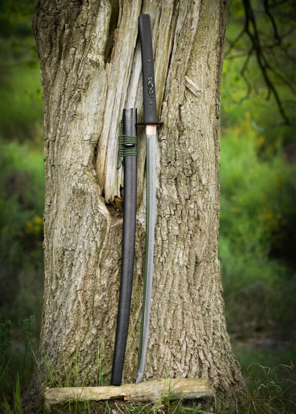 Dragon King Moderná katana, Bo-Hi