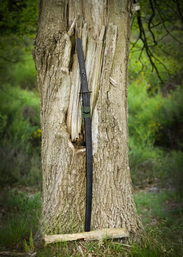 Dragon King Moderná katana, Bo-Hi