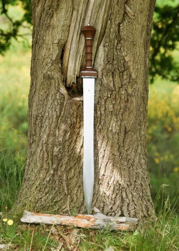 Legacy Arms Rímsky gladius typu Mainz
