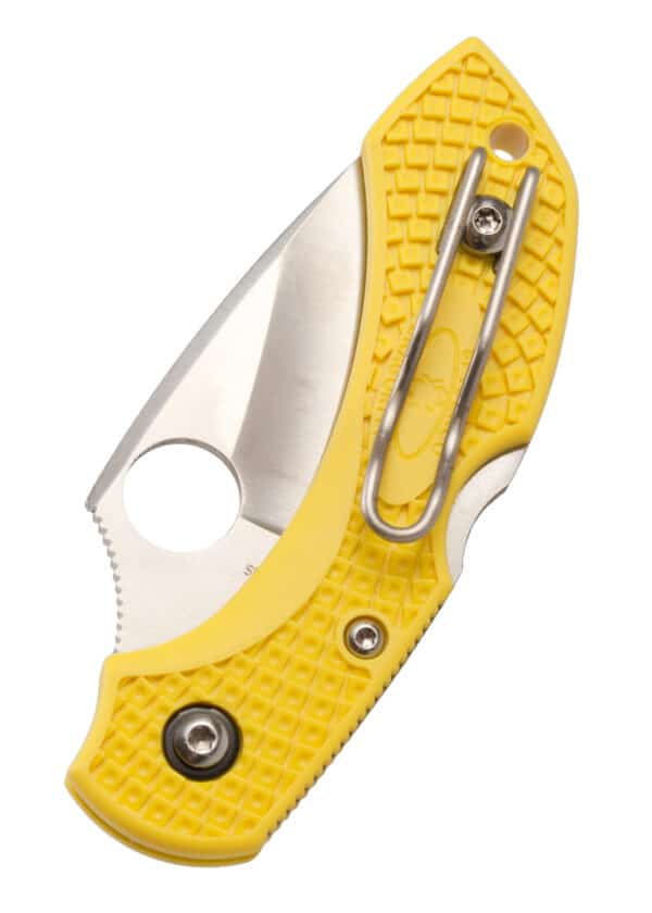 Spyderco Dragonfly  2 Salt Serrated, Taschenmesser