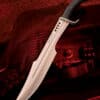 Honshu Spartan Schwert D2