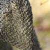 RM Kettenbeinlinge/Chausses, 6 mm, vernietet und gestanzt