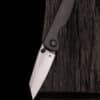 Taschenmesser Allie-P, Titan, Satiniert, Wehr Knives